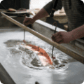 Electrochemical Etching Electrochemical Etching